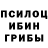 Галлюциногенные грибы мицелий Vika Dytova