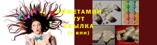 сатива Абинск