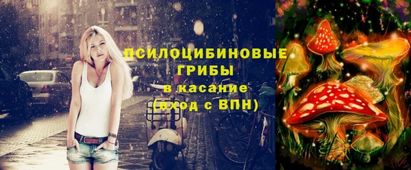 сатива Абинск