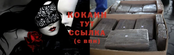 сатива Абинск