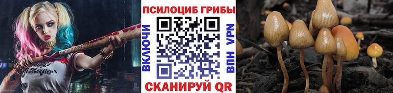 OMG ONION  Вичуга  Галлюциногенные грибы GOLDEN TEACHER 